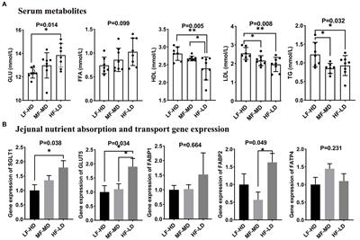 Different fat-to-fiber ratios by changing wheat inclusion level impact energy metabolism and microbial structure of broilers